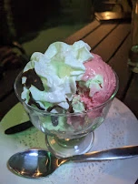 Spumoni Ice Cream